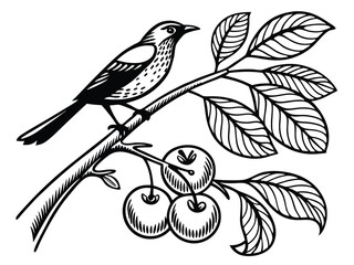 bird on a branch of a tree