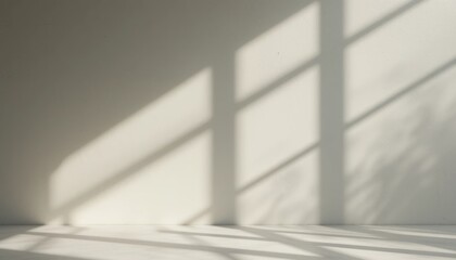 Poster - Dynamic shadows playing on a minimalist wall indoor space photography bright environment low angle view nature's patterns