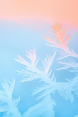 Poster - frozen car windshield with delicate frost patterns illuminated by soft glow of sunrise