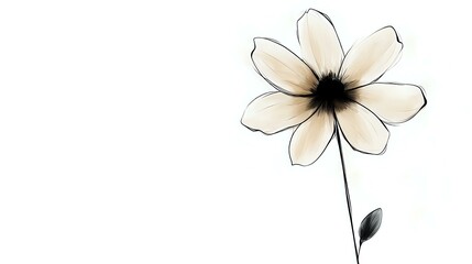 Poster - Minimalist cream flower with black outline and stem on white background, delicate watercolor style botanical illustration for stationery and wall art designs.