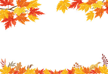 autumn leaves and tree branch natural background, design, cover, banner or template. red, yellow and