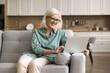 © fizkes - Time for modern tech on retirement. Smiling mid aged woman pensioner sit on couch using notebook pc at home explore new interests online playing video games watch education webinar communicate in chat