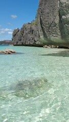 Wall Mural - beautiful view of tropical philippines island. white sand beach and bay with turquoise water. vertic
