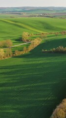 Wall Mural - aerial view of amazing green wavy hills with agricultural fields in spring. south moravia region, cz
