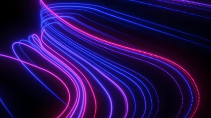 Poster - Elegant abstract magenta neon curves in soft glowing animation, seamless loop in 4K