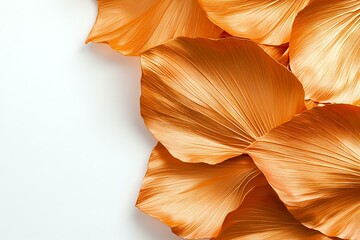 Poster - Delicate orange petals with soft pleated texture create elegant natural curves against white background, showcasing organic shapes and light interplay.
