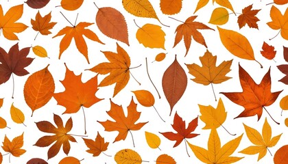 Aufkleber - Autumn Leaves Falling Gracefully. Delicate Leaves Showcase Natural Beauty. Fall Foliage On White Background. Seasonal Change, Nature's Elegance.