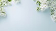 © KUTIL KURO - White blossoms frame a pale blue background. The image features delicate spring flowers arranged at the top corners. The background is simple and clean. It has a soft, high-quality resolution and ge