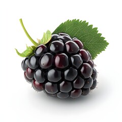 Aufkleber - Close-up of a single, ripe blackberry with its vibrant green leaf, showcasing the fruit's texture and color against a white background. Fruit Isolated on a white background. Mulberry