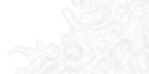 Poster - abstract curve grid map and topo contour map on white background, topographic contour lines. seamles
