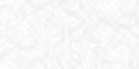 Poster - abstract curve grid map and topo contour map on white background, topographic contour lines. seamles