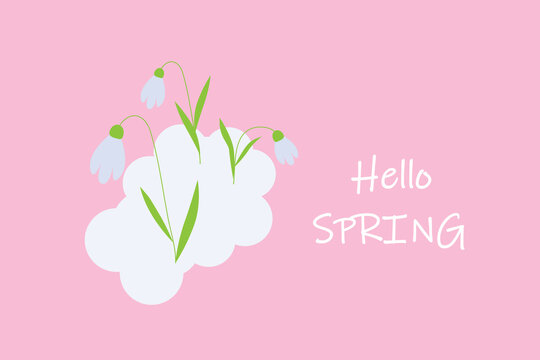 Hello Spring - cover or postcard template, snowdrop - vector illustration. Pastel pink background with white lettering.