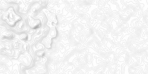 Poster - abstract curve grid map and topo contour map on white background, topographic contour lines. seamles
