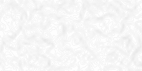 Poster - abstract curve grid map and topo contour map on white background, topographic contour lines. seamles