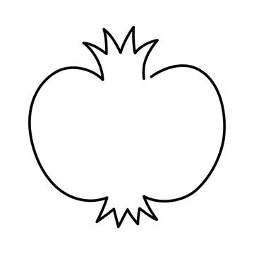 Pomegranate fruit illustration. Single line icon. Line art. continued line pomegranate illustration. Vector Outline fruit isolated on white background