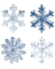 Poster - Captivating macro shot of four unique snowflakes against a pristine white backdrop showcasing winter's delicate beauty and intricate crystalline details