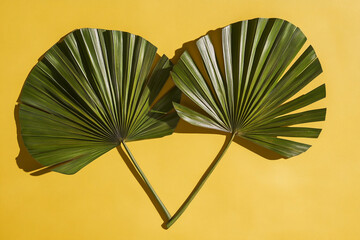 Aufkleber - Two green palm leaves on yellow background form heart shape, showcasing summer, tropical, and nature themes, ideal for summer advertising or design
