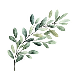 Poster - Delicate, watercolor-style branch with varying shades of green leaves