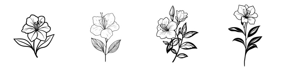 Poster - Collection of minimalist line icons featuring various flower designs suitable for graphic use and decoration
