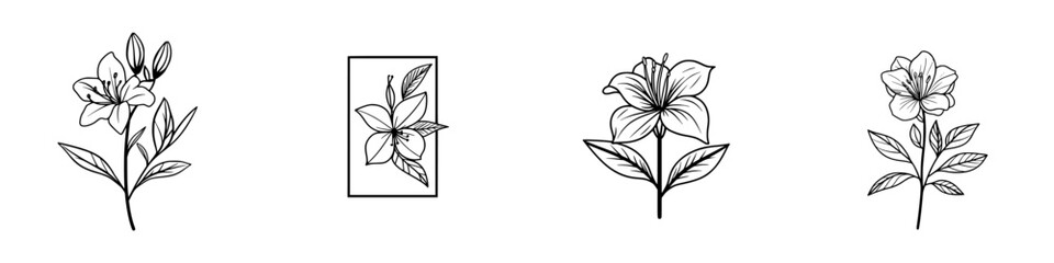 Poster - Set of vector minimalistic line icons featuring various flower designs with intricate detailing and elegant shapes