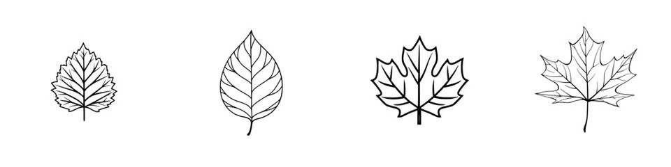 Poster - Collection of minimalist line icons representing various leaf designs for nature-themed projects and illustrations
