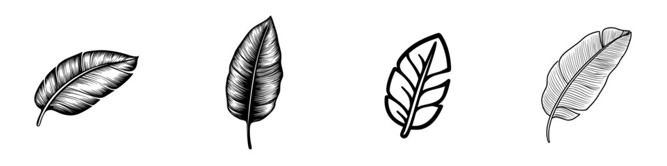 Aufkleber - Set of minimalist line icons depicting various leaf designs suitable for nature-themed projects or graphic design applications