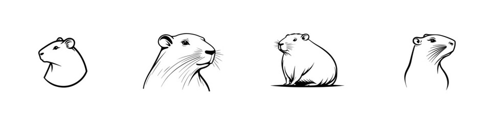 Poster - Vector minimalist line icons showcasing various poses of a small rodent in a clean and simple style