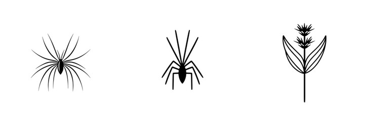 Poster - Collection of minimalist line icons featuring spiders and a plant design for creative projects