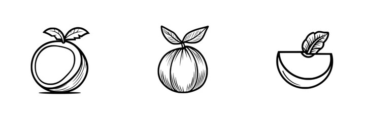 Poster - Collection of minimalist line icons depicting various fruits in a simple artistic style