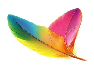 Aufkleber - Two Colorful Bird Feathers Displayed on White Background Gradient Spectrum of Pink Yellow Green Blue and Orange Shades in a Bright Studio Shot with Detailed Plumage and Texture