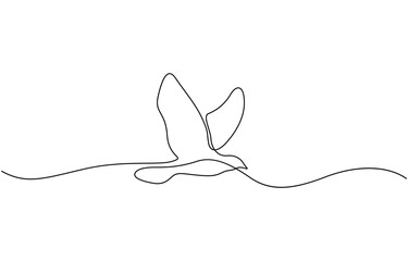 Poster - A flying bird line drawing continuous line art vector illustration, Continuous single line drawing of a flying seagull, line art vector.