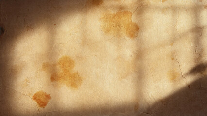 Poster - A cat sits near a window on a wooden floor