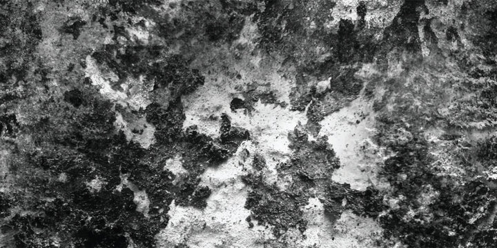 A visually compelling abstract composition rendered in stark black and white, emphasizing the tactile quality of a heavily marked surface.
