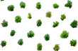 © Khadija - Lush green moss pattern on white background minimalist nature texture vibrant spring freshness