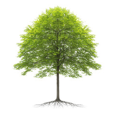 nature conservation concept. vibrant tree illustration with detailed foliage against a black backgro