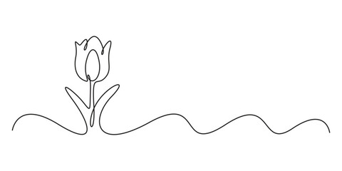 Fototapete - Tulip one line drawing. Abstract flower continuous line. Minimalist contour drawing of tulip. Continuous line drawing of flower tulip. Hand drawn vector illustration