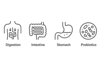 Aufkleber - Understanding human digestion with vector icons of intestine, stomach, and probiotics representing digestive system functions