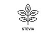 © Zaleman - Stevia plant line vector icon representing a natural sweetener used in various food and beverage products