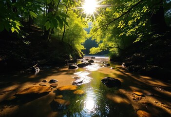 Sticker - Sunlight dappling through leaves onto a clear, shallow forest stream, shadow, natural