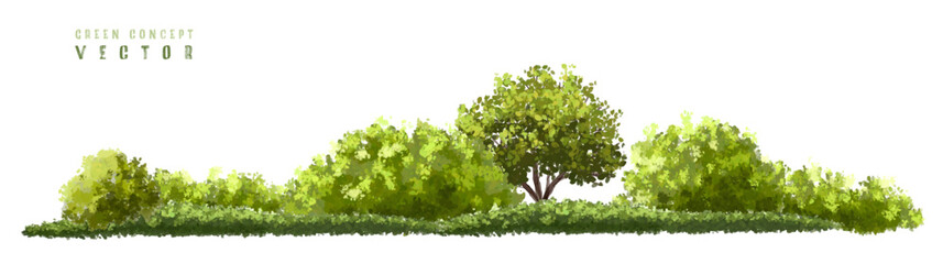 Wall Mural - vector watercolor green tree or forest side view isolated on white background for landscape and arch