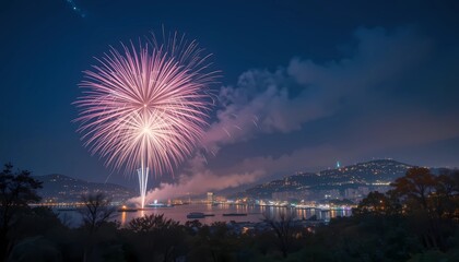 firework party