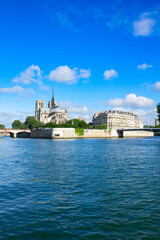 Wall Mural - notre dame cathedral over the seine river at summer day, paris, france, retro toned