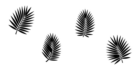 Tropical leaves vector set. Phoenix palm leaf isolated on white background. Simple flat vector, Palm leaf silhouette, outline or shadow isolated on white background. Grey palm leaves, Palm tree leaf.