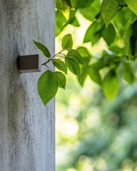Aufkleber - Eco-Minimalist Urban Design Concrete Architectural Detail with Vibrant Green Leaves, Illustrating Biophilic Integration and Sustainable Modern Living Concepts