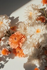 Poster - Soft Botanical Minimalism Ethereal Peach and White Dahlia Arrangement in Golden Hour Light - Contemporary Floral Design for Wellness and Interior Styling