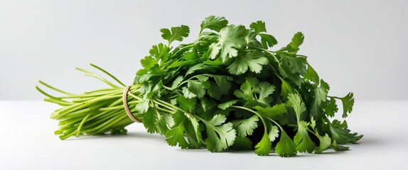 Poster - Fresh organic cilantro bunch isolated on white