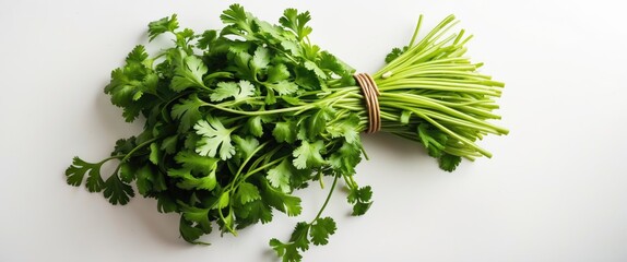 Poster - Bunch of green cilantro arranged on a white surface