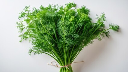 Poster - Fresh green dill cluster separated on white background