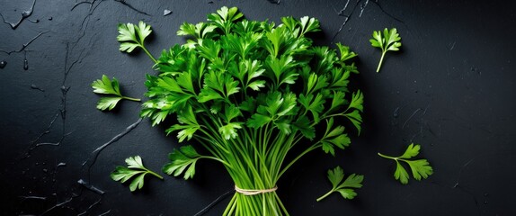 Poster - Parsley bunch separated on a dark background allowing for text placement. View from above.