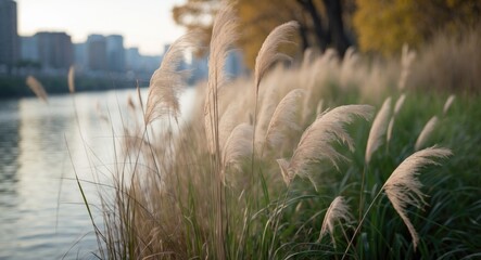 Wall Mural - along the river's edge in autumn, the reeds' solitude whispers gently, crafting a serene sense of sa